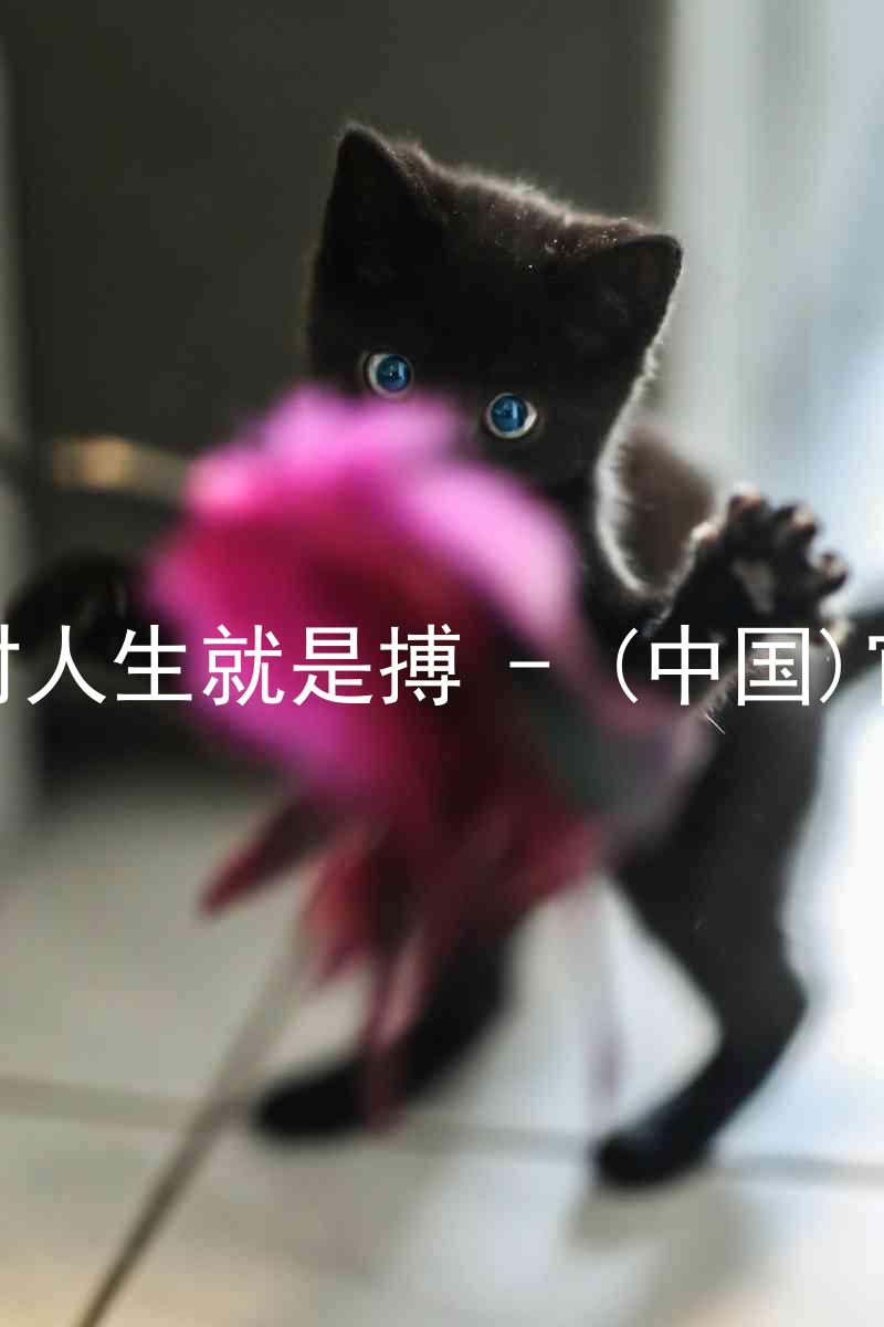 尊龙凯时人生就是搏 - (中国)官方网站
