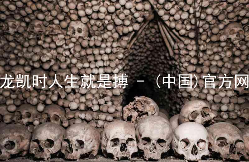 尊龙凯时人生就是搏 - (中国)官方网站